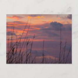 Postal Amanecer en Fort Pierce, Florida
