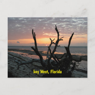 Postal Amanecer en Key West Florida
