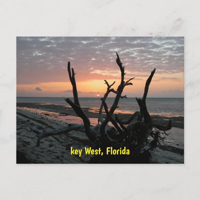 Postal Amanecer en Key West Florida (Anverso)