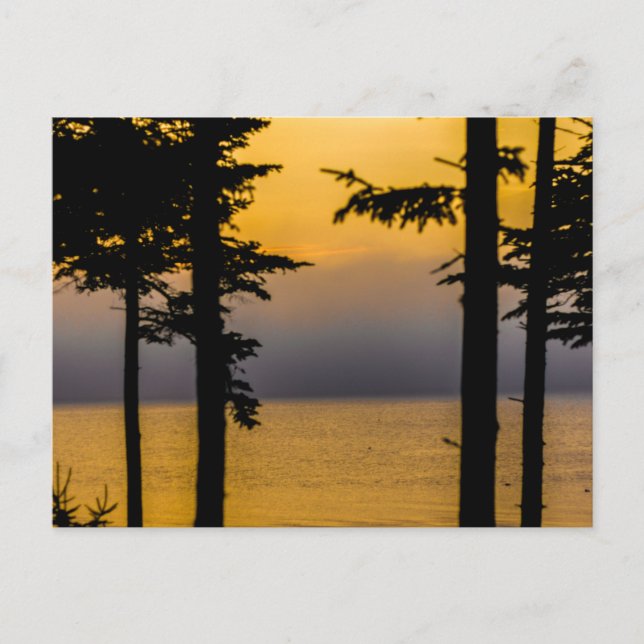 Postal Amanecer en la bahía de Gouldsboro, Maine (Anverso)