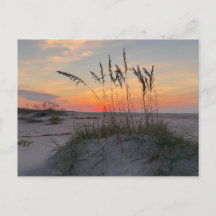 Amanecer en la playa - Vida en Isla Costera