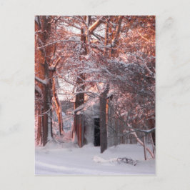 Postal Amanecer rosa en foto de invierno de nieve