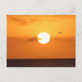 Postal Amanecer sobre el océano: pelícano