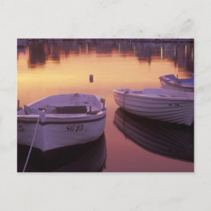Postal Amanecer sobre el puerto de Stari Grad con pesca