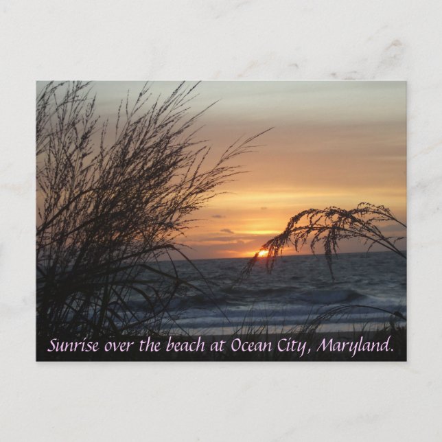 Postal Amanecer sobre la playa en... (Anverso)