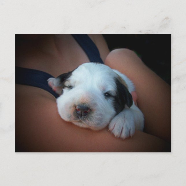 Postal Amante abrazo (Anverso)