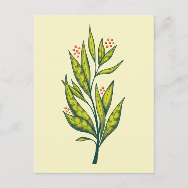 Postal Amante de la naturaleza del arte botánico de la pl (Anverso)
