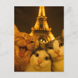 Postal Amante del equipo de selfies de gato nocturno de P