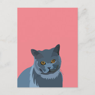 Postal Amante del Gato Gris Azul