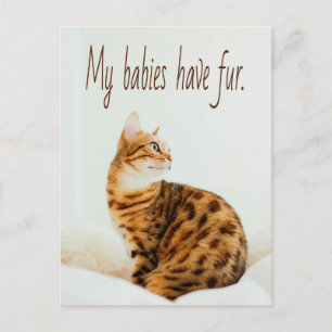 Postal Amante del gato, meme de gatitos, mis bebés tienen