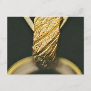 Postal Amante del sushi japonés