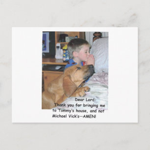 Postal - Amantes de los animales