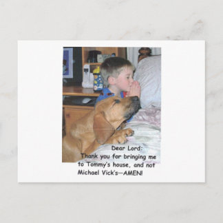 Postal - Amantes de los animales