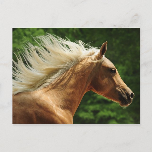 Postal Amantes de Oro (Anverso)