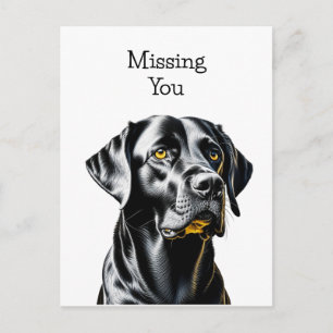 Postal Amantes de Perros Lab Negro   Te Extraño