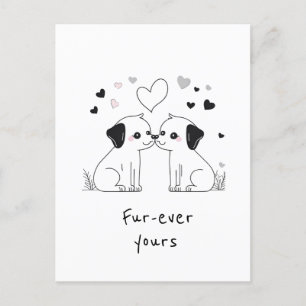 Postal Amantes del perro, cuatro años