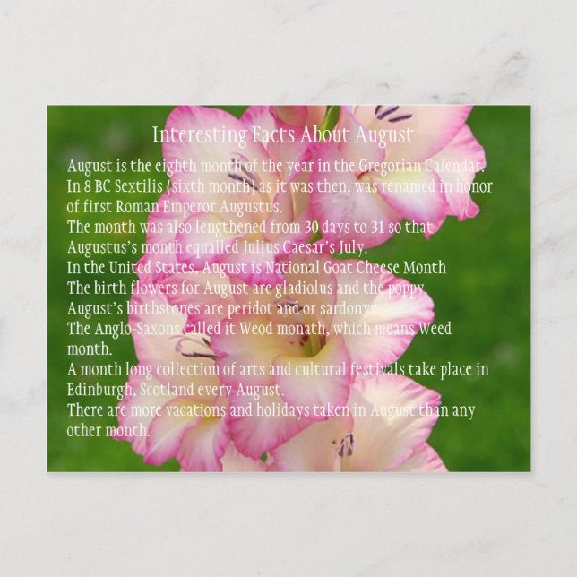 Postal amapola (Anverso)