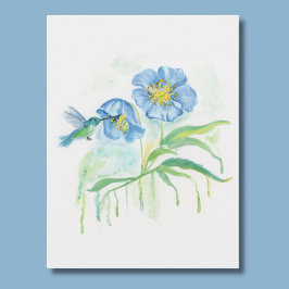 Postal Amapola azul del Himalaya con colibrí