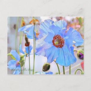 Postal Amapola azul del Himalaya [Tarjeta postal]