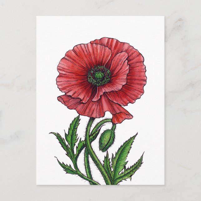 Postal Amapola roja, acuarela y tinta (Anverso)