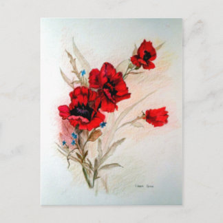 Postal Amapolas rojas