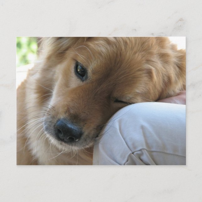 Postal Amar (Anverso)