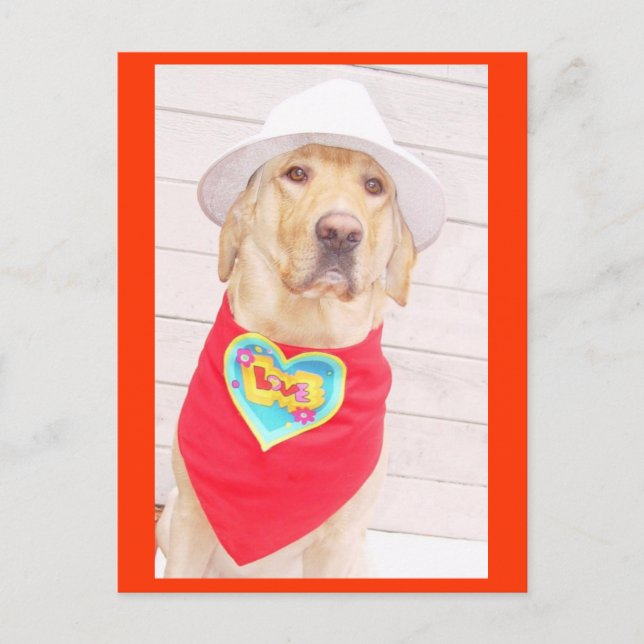 Postal Amar (Anverso)