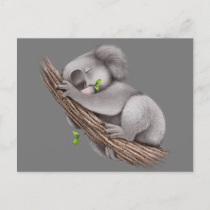 Postal Amar a Koala BearsPostcard