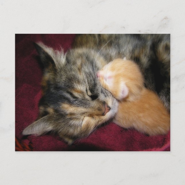 Postal Amar a mamá (Anverso)