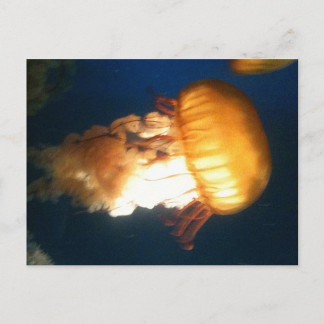 Postal Amarillo (Anverso)