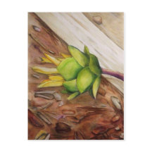 "Amarillo 1"
