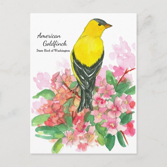 Postal Amarillo de Estados Unidos Goldfinch State Bird of (Anverso)