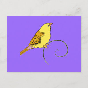 Postal Amarillo patito