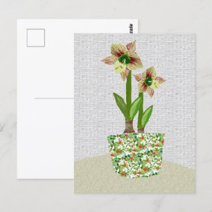 Postal Amaryllis Postcard