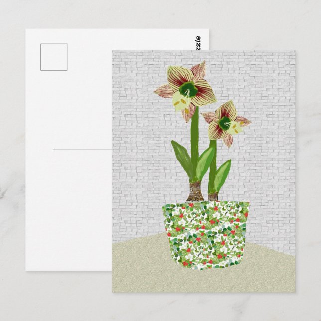Postal Amaryllis Postcard (Anverso / Reverso)