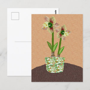 Postal Amaryllis Postcard