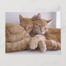 Postal Amber y Topez