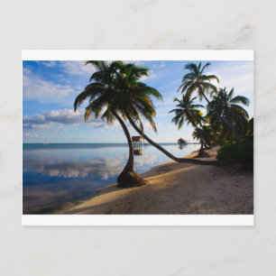 Postal Ambergris Caye Belize