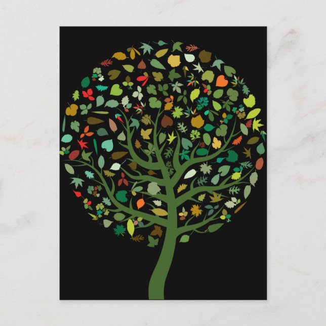 Postal Ambientalista de árboles bonitos (Anverso)