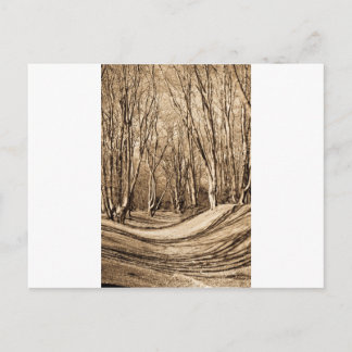 Postal Ambresbury Banks