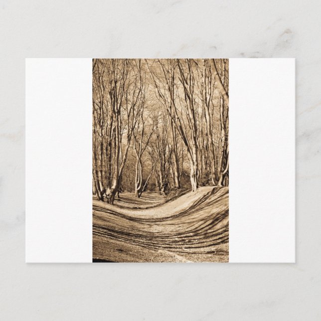 Postal Ambresbury Banks (Anverso)