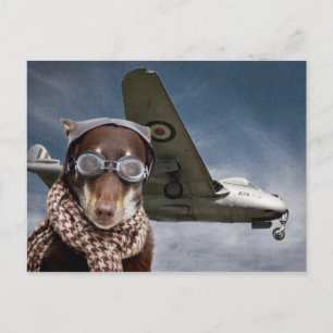 Postal Amelia Earhart