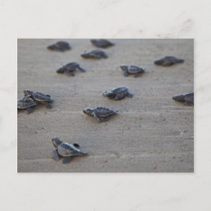 Postal América Central, El Salvador, Océano Pacífico