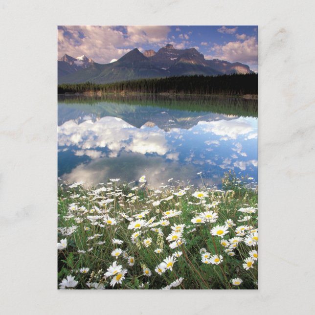 Postal América del Norte, Canadá, Alberta, Banff National (Anverso)