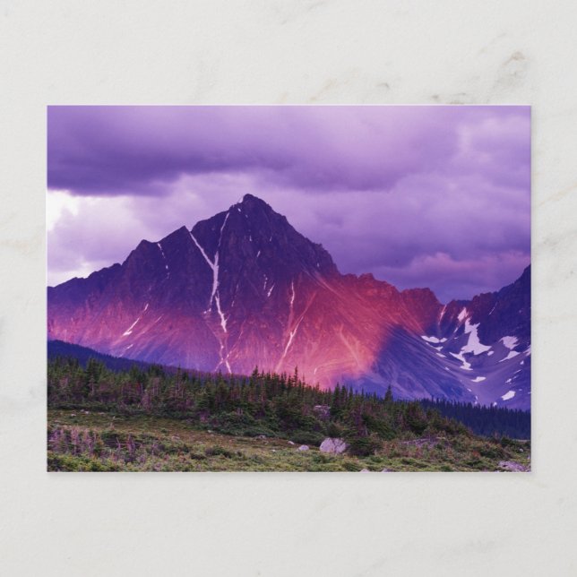 Postal América del Norte, Canadá, Alberta, Canadá (Anverso)