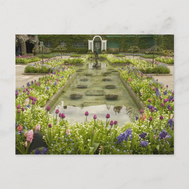 Postal América del Norte, Canadá, Columbia Británica, 4 (Anverso)