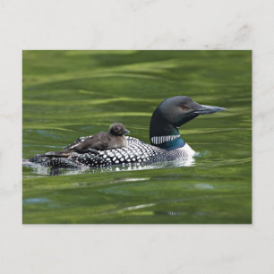 Postal América del Norte, Canadá, Columbia Británica, Lac