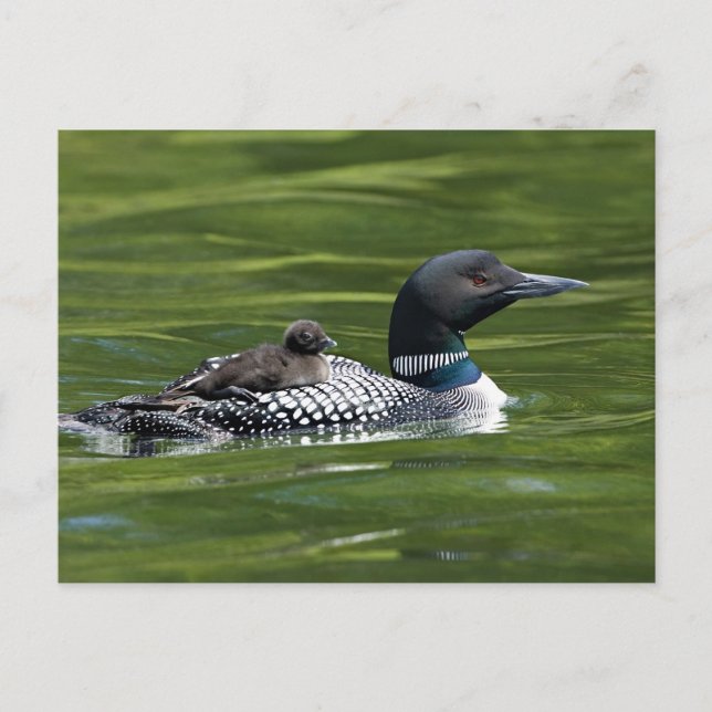 Postal América del Norte, Canadá, Columbia Británica, Lac (Anverso)