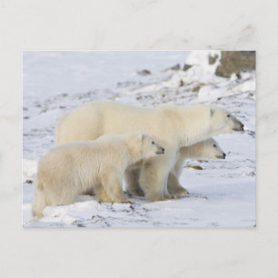 Postal América del Norte, Canadá, Manitoba, Churchill