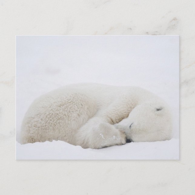 Postal América del Norte, Canadá, Manitoba, Churchill. 3 (Anverso)